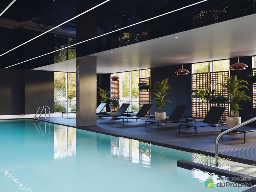 Gatineau (Aylmer) Apartments, houses for rent