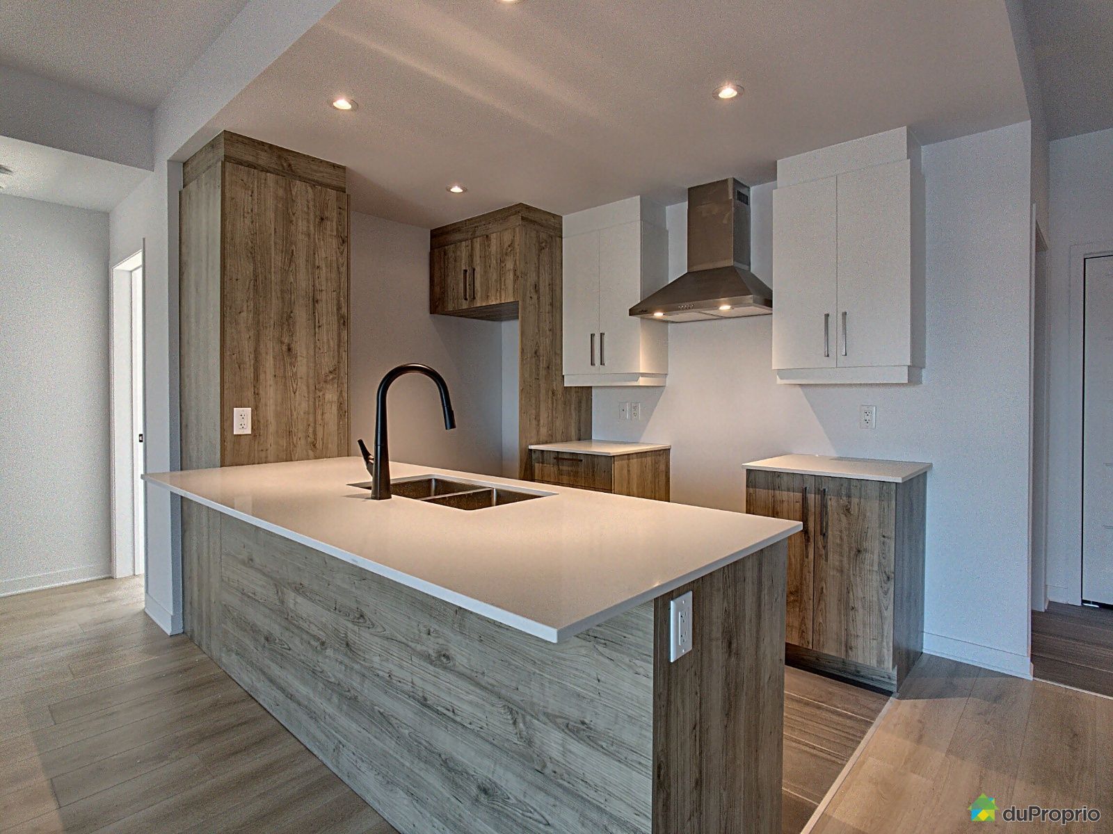 3447 boulevard René-Laennec — photo 2