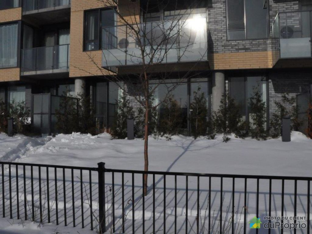 Appartements, maisons à louer, Rosemont / La Petite Patrie