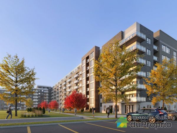 Appartements Maisons A Louer Cote Des Neiges Notre Dame De Grace Duproprio