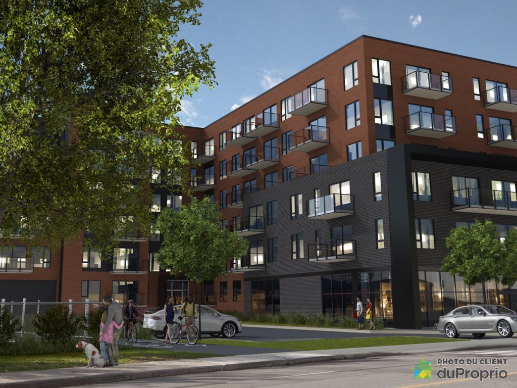 Appartements, maisons à louer, Lachine