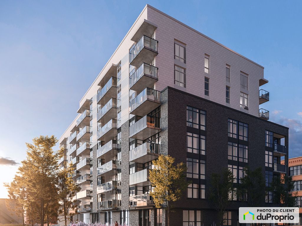Griffintown Apartments for rent