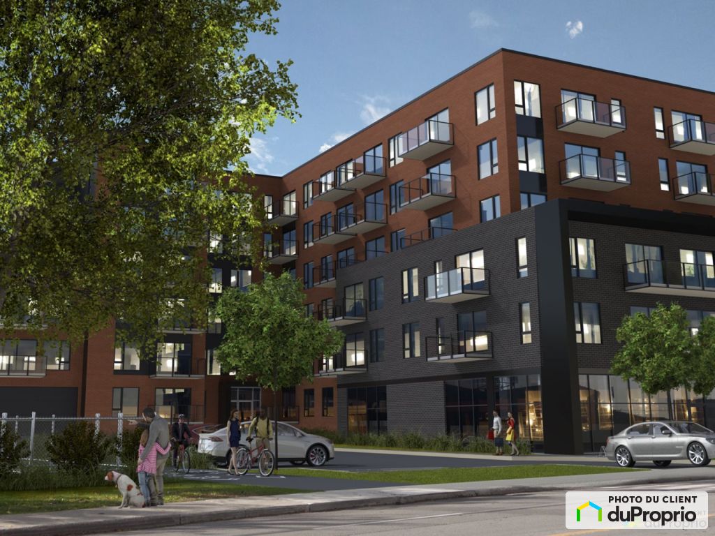 Appartements, maisons à louer, Lachine