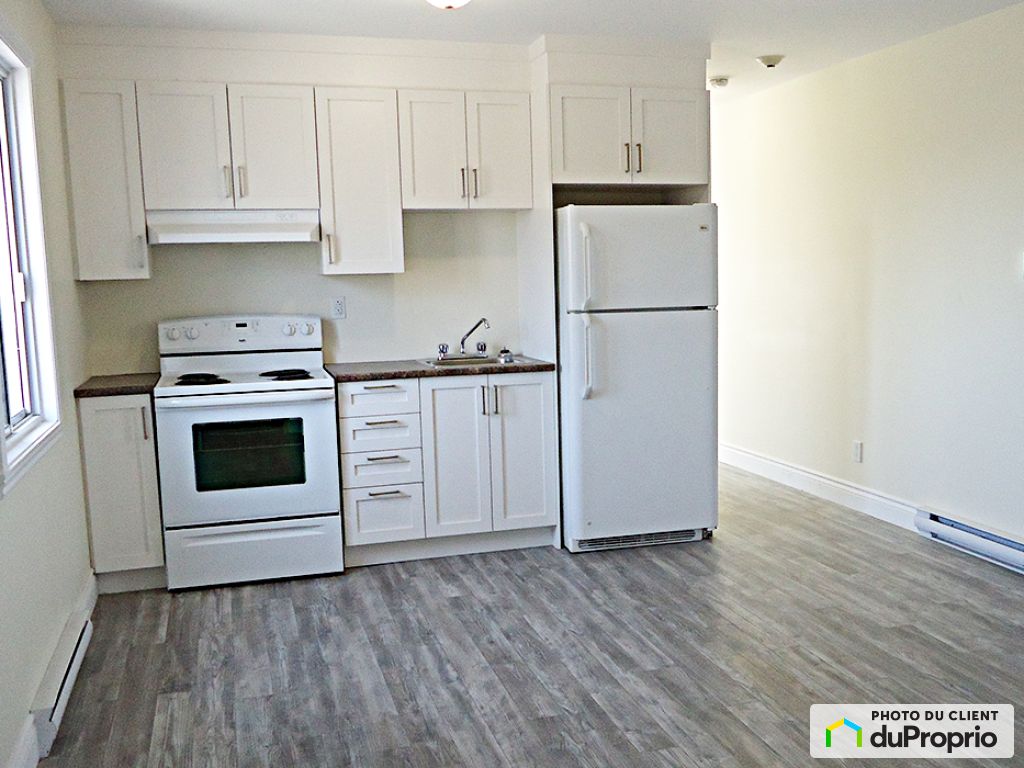 Villeray / StMichel / ParcExtension Apartments, houses for rent