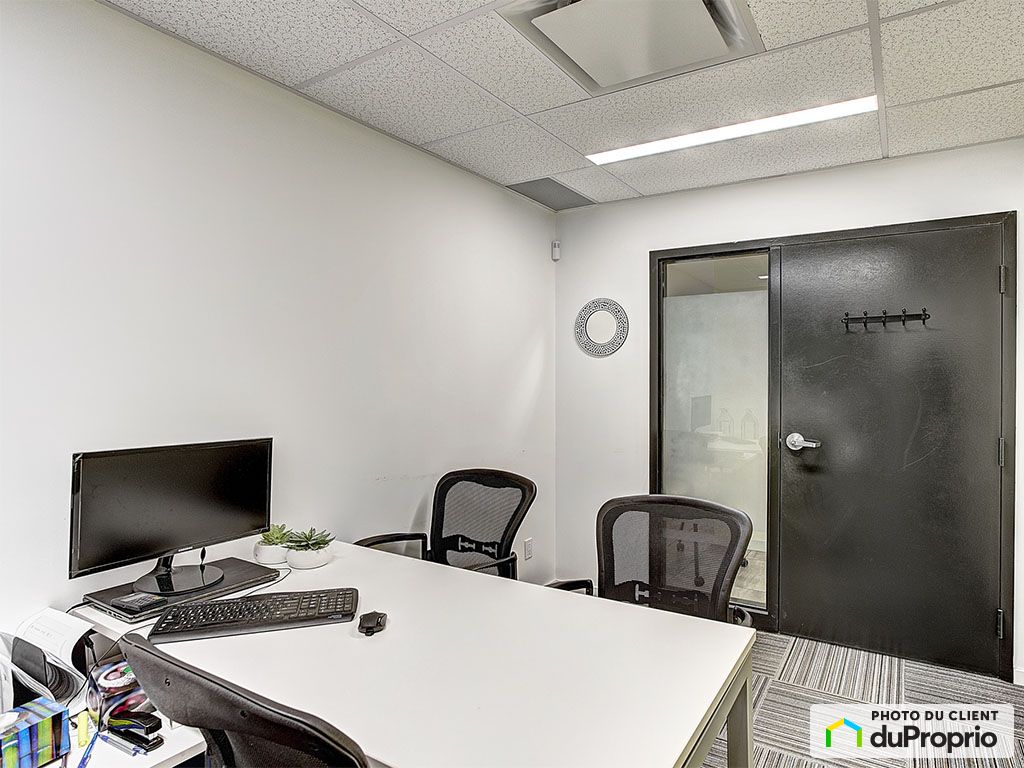 Le PlateauMontRoyal Apartments, houses for rent