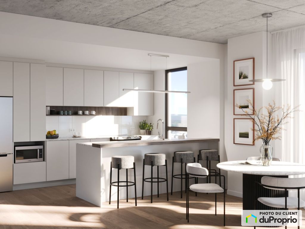 Appartements, maisons à louer, Gatineau (Hull)