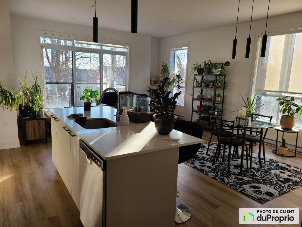 Appartements, maisons à louer, Gatineau (Aylmer)