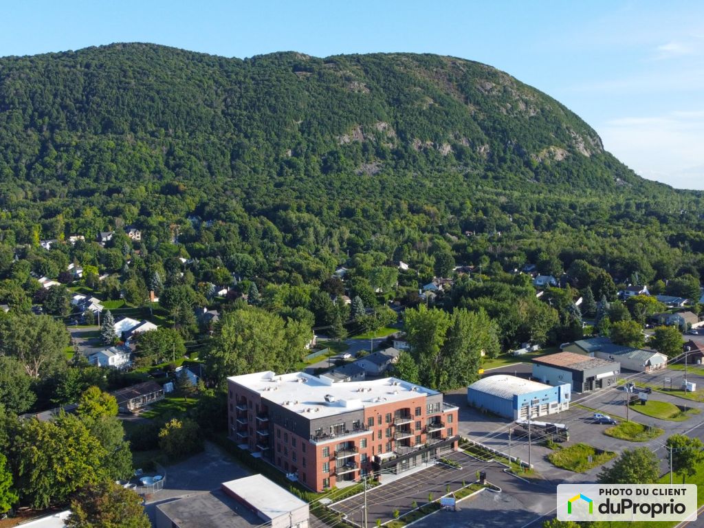 Appartements, maisons à louer, MontStHilaire