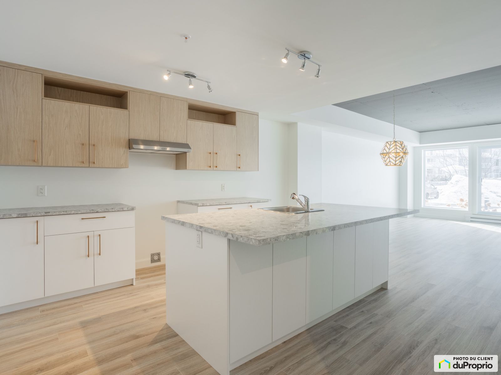 4940 rue Lionel-Groulx — photo 1