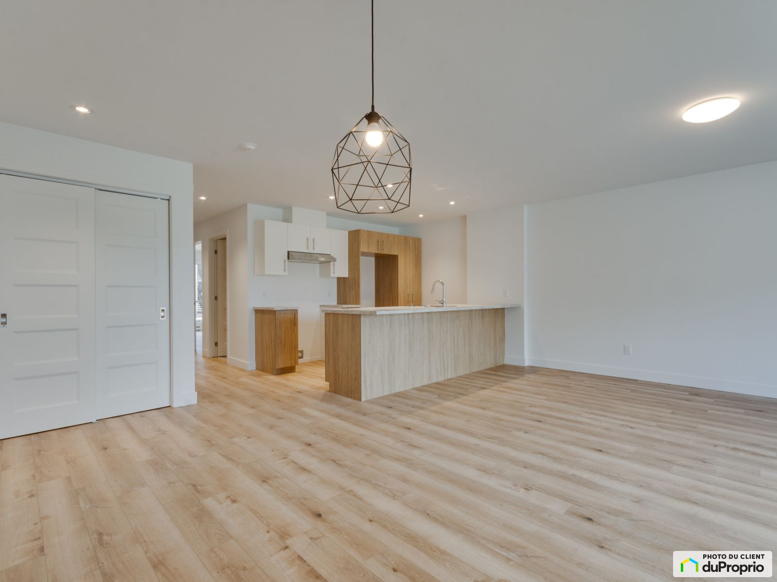580 Rue Flavie-Poirier — photo 3