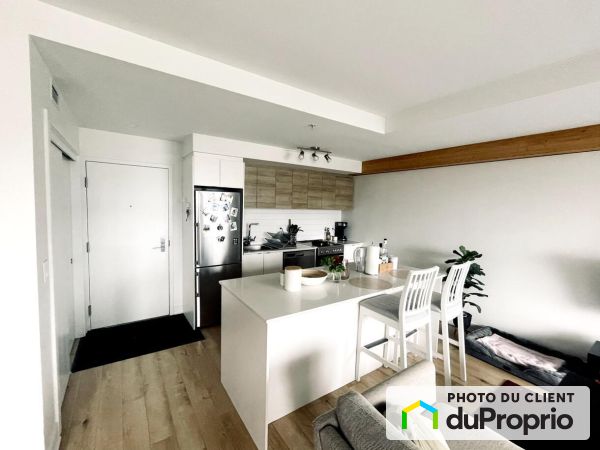 517-295 rue de la Montagne, Griffintown for rent