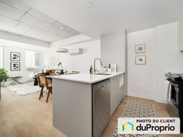 Unité 5½ - Laurence - 450 Rue Saint-Francois-Xavier, Ville-Marie (Centre-Ville et Vieux-Montréal) for rent