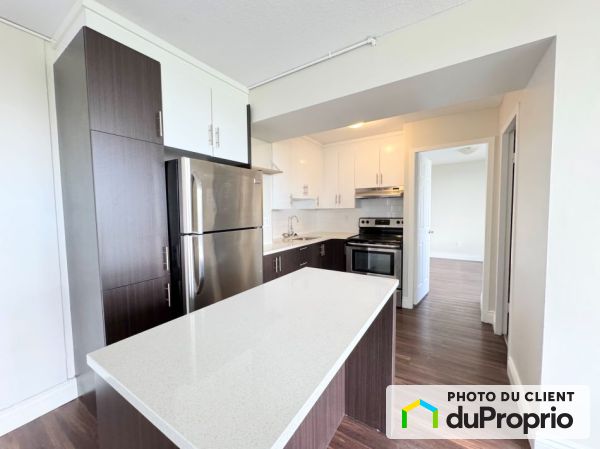 1101 rue Rachel Est, Le Plateau-Mont-Royal for rent