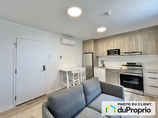 3025 rue Sherbrooke Est, Griffintown for rent