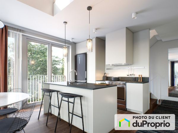 105-2015 rue Rachel Est, Le Plateau-Mont-Royal for rent