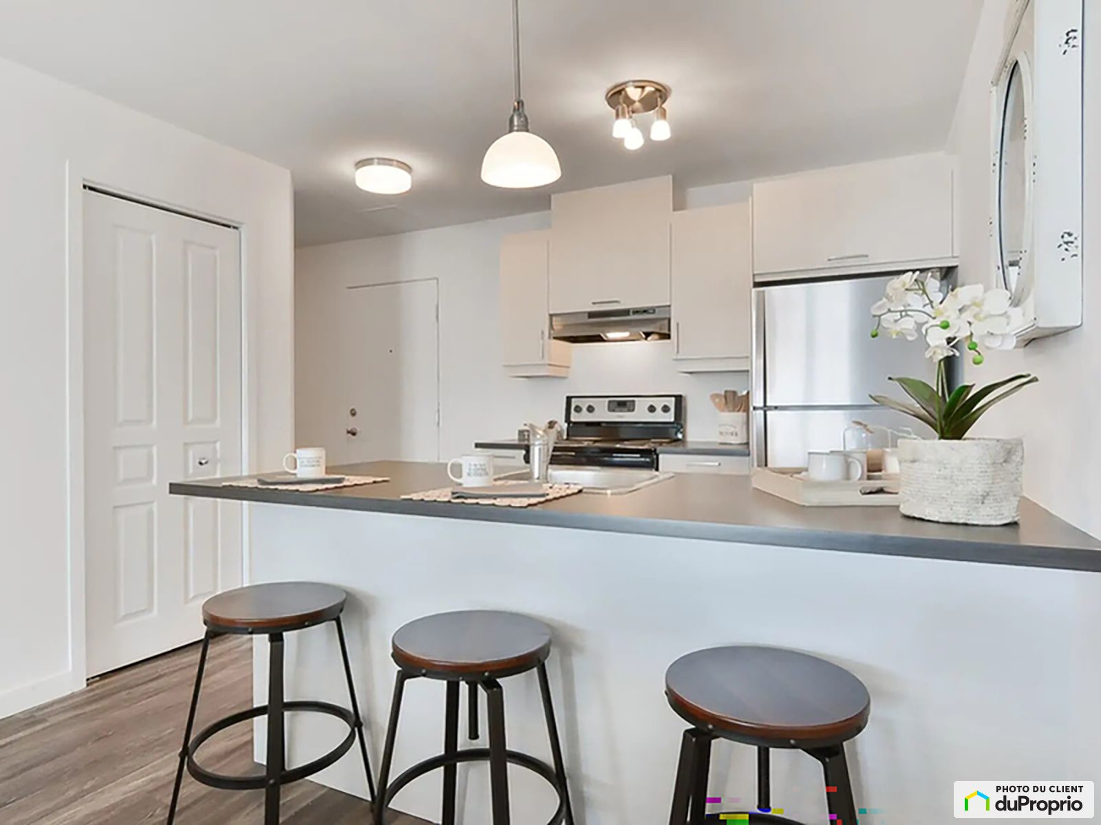 9145-9155-9165 rue Lennon - Unité 3½ — photo 3