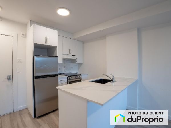310-50, rue Crépeau, Saint-Laurent à louer