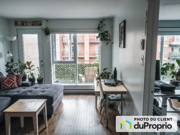 Living Room - 201-5021 Bannantyne, Verdun for rent