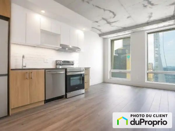 900 rue Saint-Jacques, Ville-Marie (Centre-Ville et Vieux-Montréal) à louer