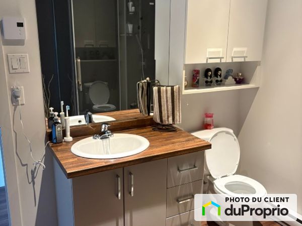 437, Rue jerobelle, St-Jérôme (Bellefeuille) à louer