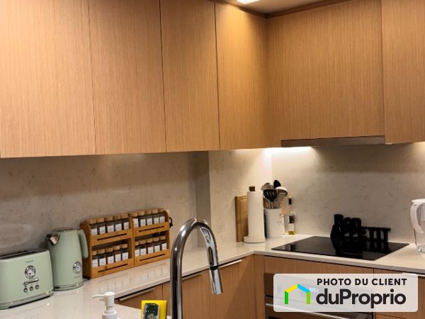 1604-101 rue Peel, Griffintown for rent
