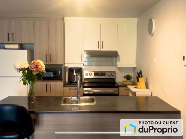 Kitchen - 2931 rue du Saltimbanque, Drummondville (Drummondville) for rent