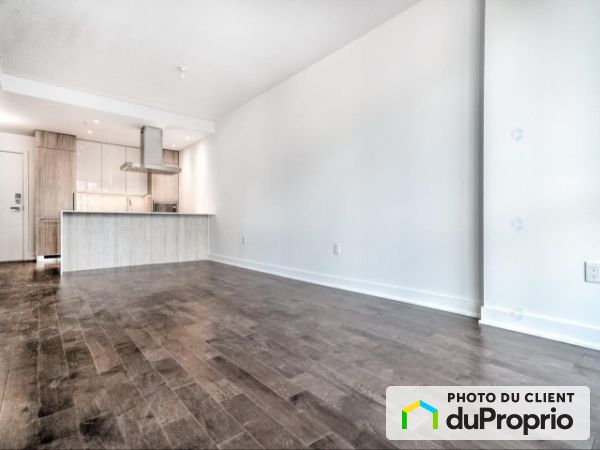 809-1239 Rue Drummond, Ville-Marie (Centre-Ville et Vieux-Montréal) à louer