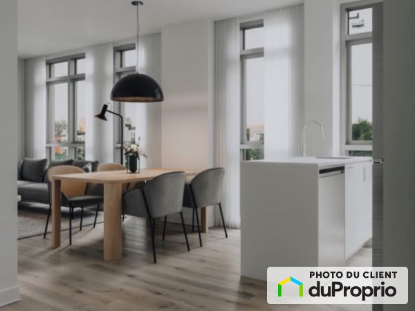 1133, Avenue Viger Est, Ville-Marie (Centre-Ville et Vieux-Montréal) à louer