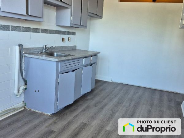 3833, rue Beaubien Est, Rosemont / La Petite Patrie à louer