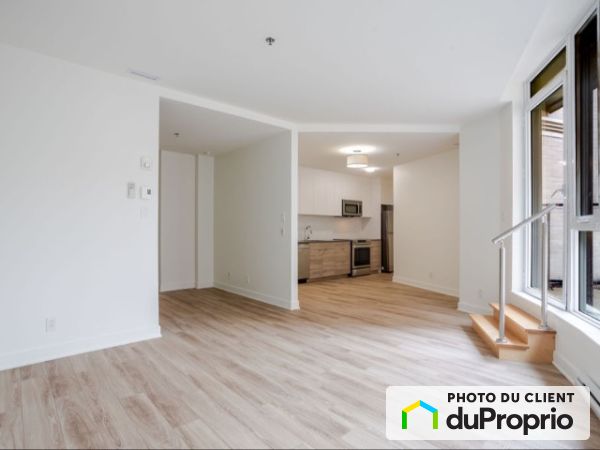 1750 rue Cedar, Ville-Marie (Centre-Ville et Vieux-Montréal) à louer