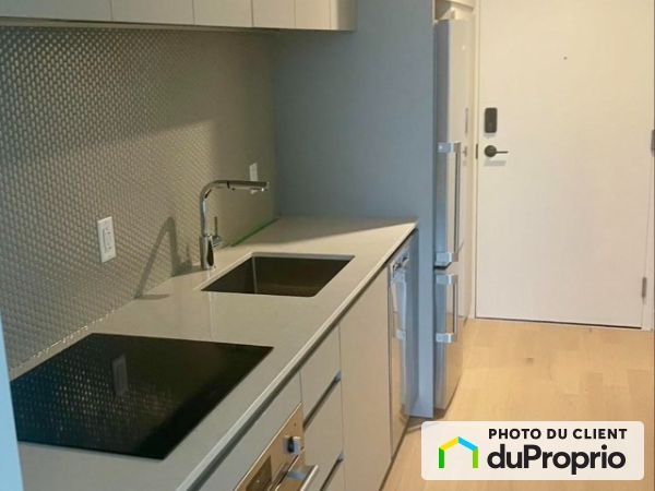 2914-1210, rue Jeanne-Mance, Ville-Marie (Centre-Ville et Vieux-Montréal) à louer