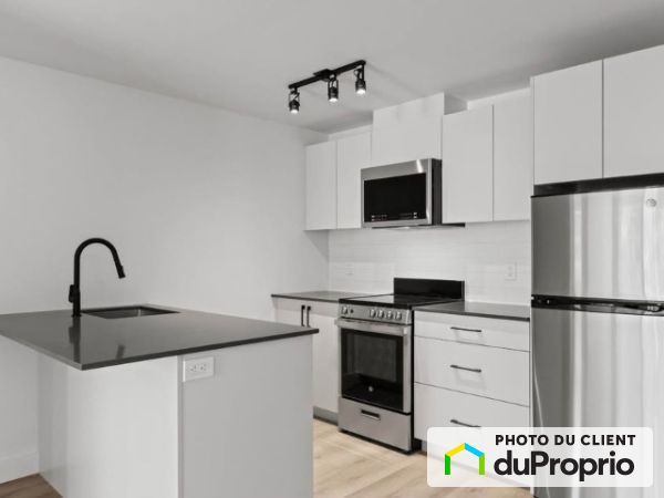 1133 avenue viger Est, Ville-Marie (Centre-Ville et Vieux-Montréal) for rent