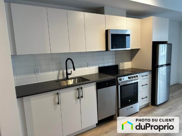 1133 avenue Viger Est, Ville-Marie (Centre-Ville et Vieux-Montréal) for rent