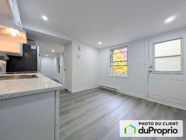 1679, rue Alexandre-Desève, Ville-Marie (Centre-Ville et Vieux-Montréal) à louer