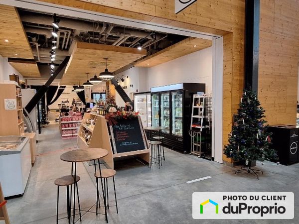 250-M boulevard Wilfrid-Hamel, Limoilou à louer