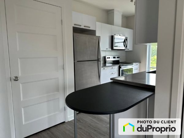 315-9660 rue William-Flemming, LaSalle for rent