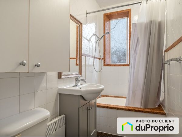 Salle de bain du logement - 4868, avenue Papineau, Le Plateau-Mont-Royal à louer