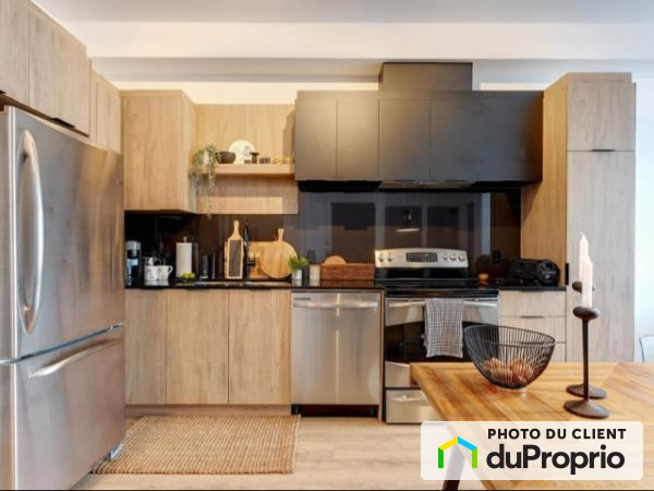 207-1745, rue de Plaisance, Terrebonne (Terrebonne) à louer