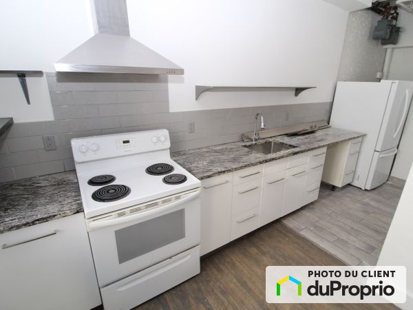 6 1/2-62, rue Rachel Est, Le Plateau-Mont-Royal à louer