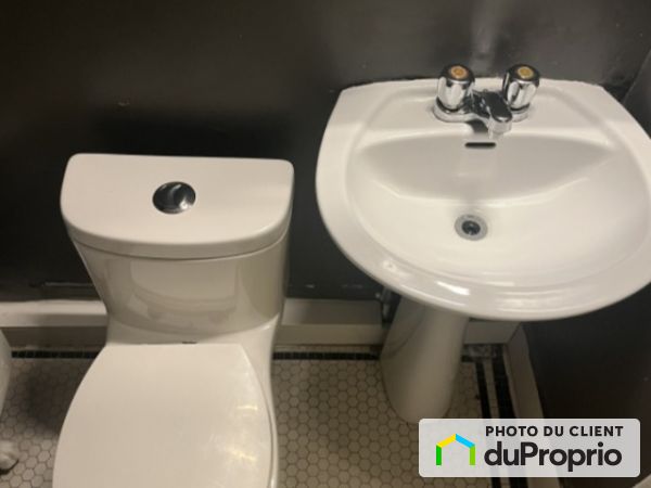 4313, rue de la Roche, Le Plateau-Mont-Royal à louer