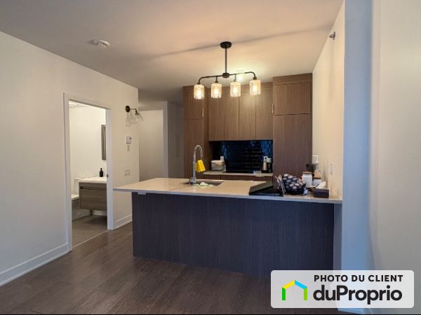 1165 rue Wellington, Griffintown for rent