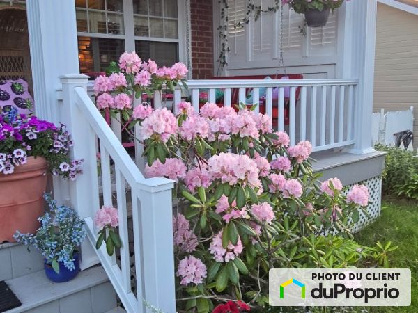 620, des Sapins, Ste-Foy à louer