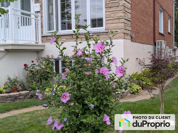 397a Paquin, LaSalle for rent