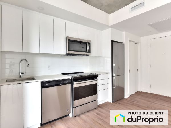 4 1/2 - Zenith - 1569 Saint-Hubert, Ville-Marie (Centre-Ville et Vieux-Montréal) for rent