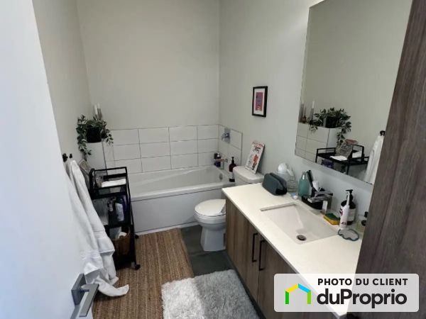 7215, boulevard Saint Michel, Villeray / St-Michel / Parc-Extension à louer