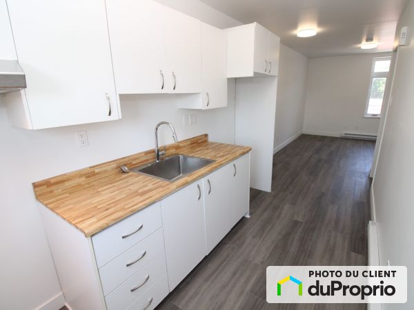 3 1/2-596, rue Kirouac, Saint-Sauveur à louer