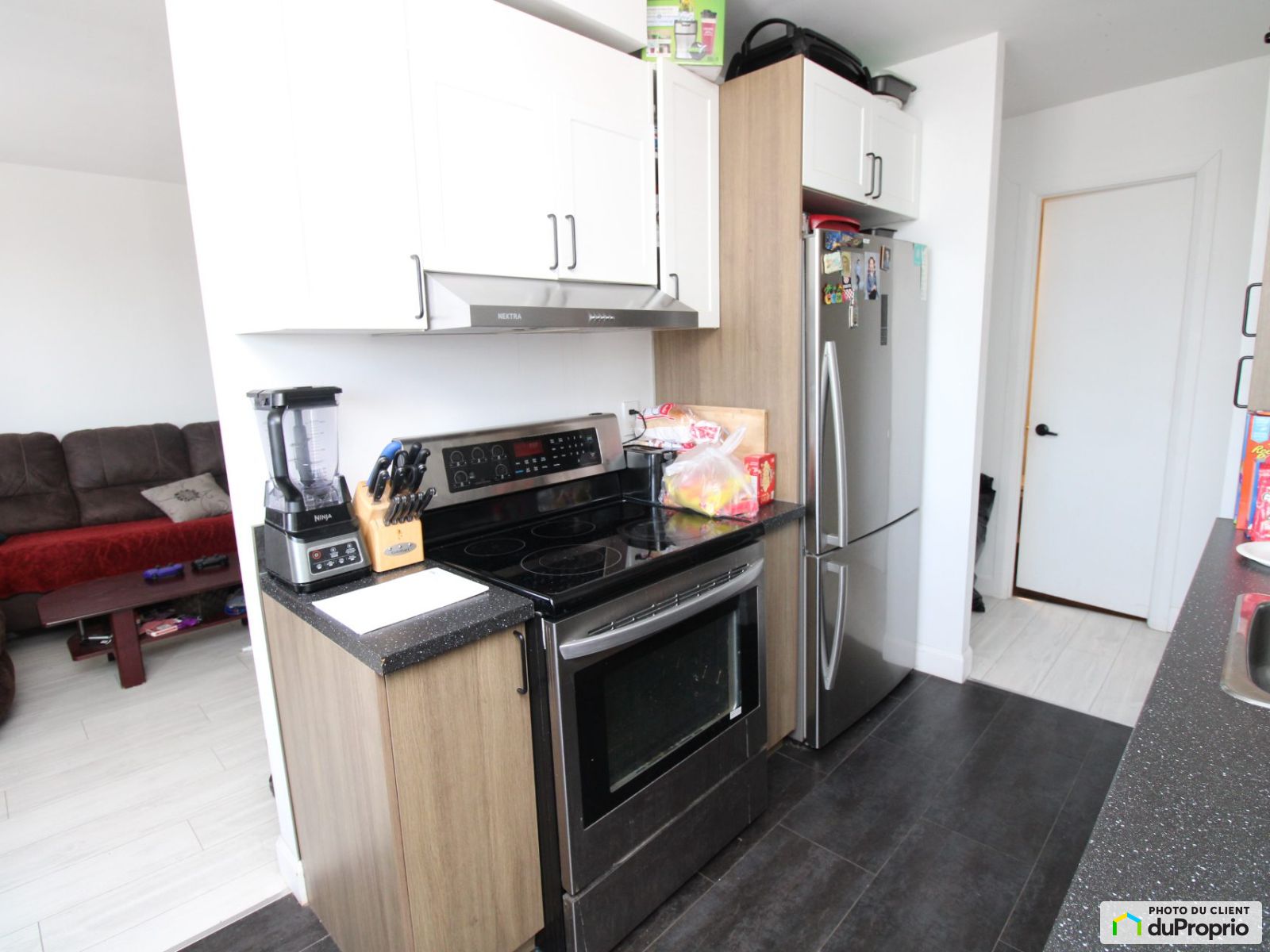 4 1/2-4520, rue le Monelier — photo 1
