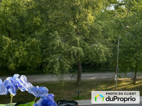 503-4911, Ch. de la Cote-des-Neiges, Côte-des-Neiges / Notre-Dame-de-Grâce à louer