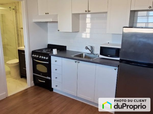 2-495, boulevard Monseigneur-Dubois, St-Jérôme (St-Jérôme) à louer