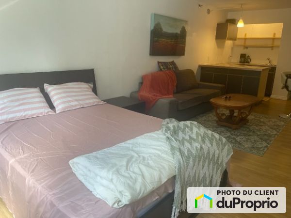 251-1055 rue Saint Mathieu, Ville-Marie (Centre-Ville et Vieux-Montréal) for rent